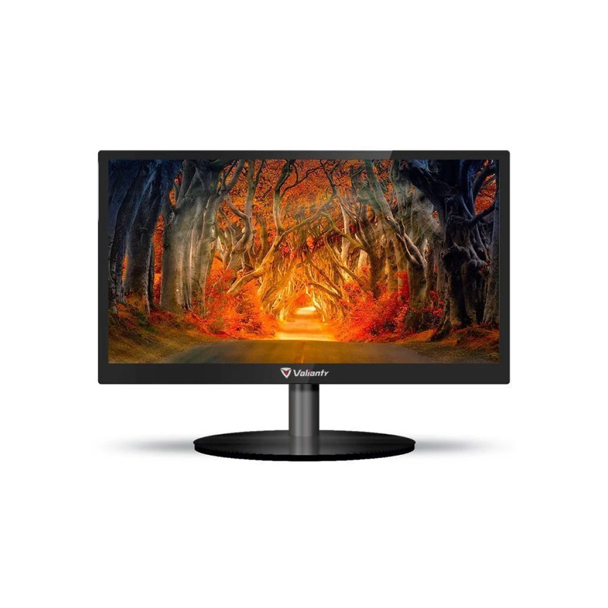 Monitor LED Slim 19 polegadas